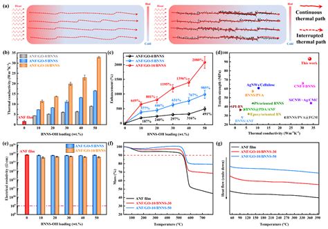  Boron Nitride: Nanomatériau pour l'électronique de pointe et la haute résistance thermique !