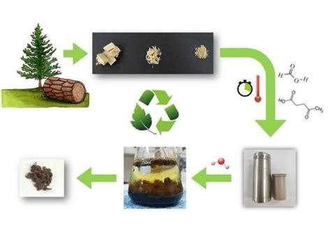  Écorce d’Eucalyptus: Potential Inestimable dans l’Extraction de Lignine et la Production de Biocarburants!