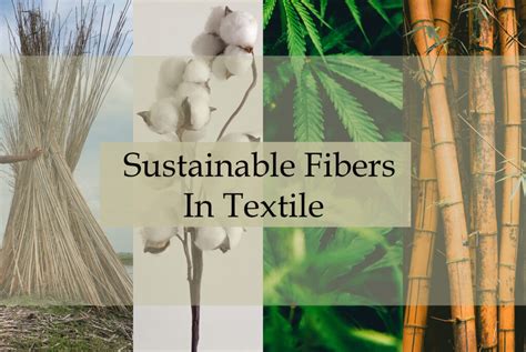 Jute: Le Fibres Naturelles Multifonctionnelles pour un Impact Industriel Durable!